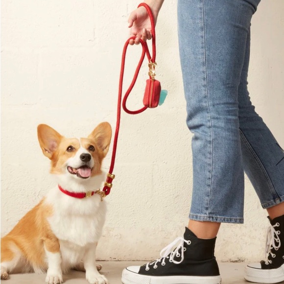 NEW The Foggy Dog Ruby Marine Rope Dog Leash (5ft Petite) - Picture 2 of 9